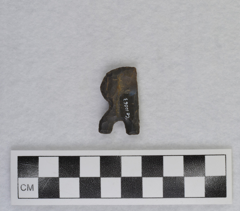 R, purchased by Don, who knows where