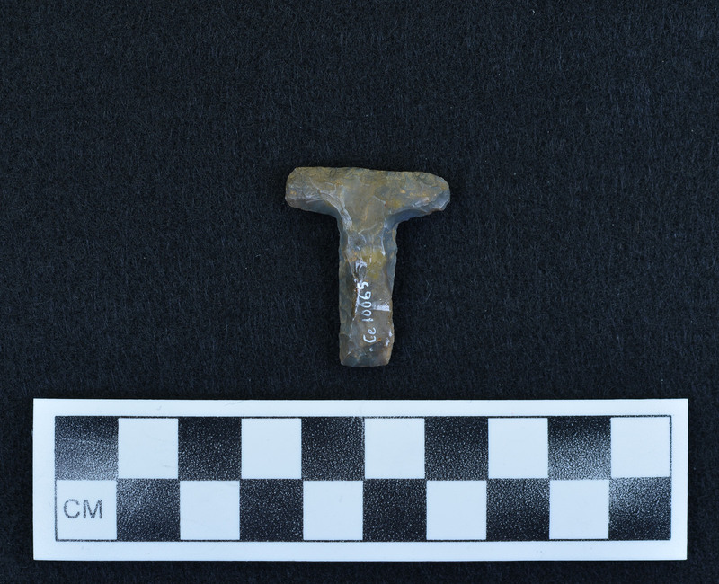 T, purchased by Don, who knows where