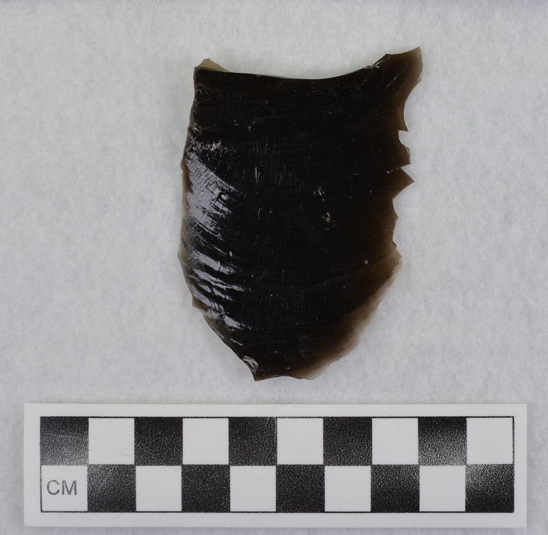 This is an uncommonly large erraillure flake produced by Donald E. Crabtree. For further information see Crabtree, 1972, pg. 31.