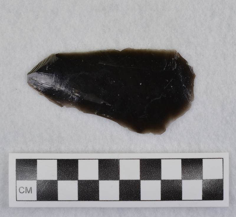 This is an uncommonly large erraillure flake produced by Donald E. Crabtree. For further information see Crabtree, 1972, pg. 31.