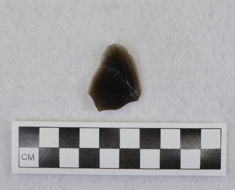 This is an uncommonly large erraillure flake produced by Donald E. Crabtree. For further information see Crabtree, 1972, pg. 31.