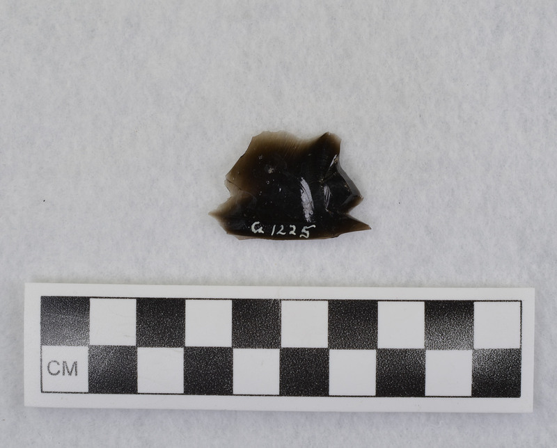 This is an uncommonly large erraillure flake produced by Donald E. Crabtree. For further information see Crabtree, 1972, pg. 31.