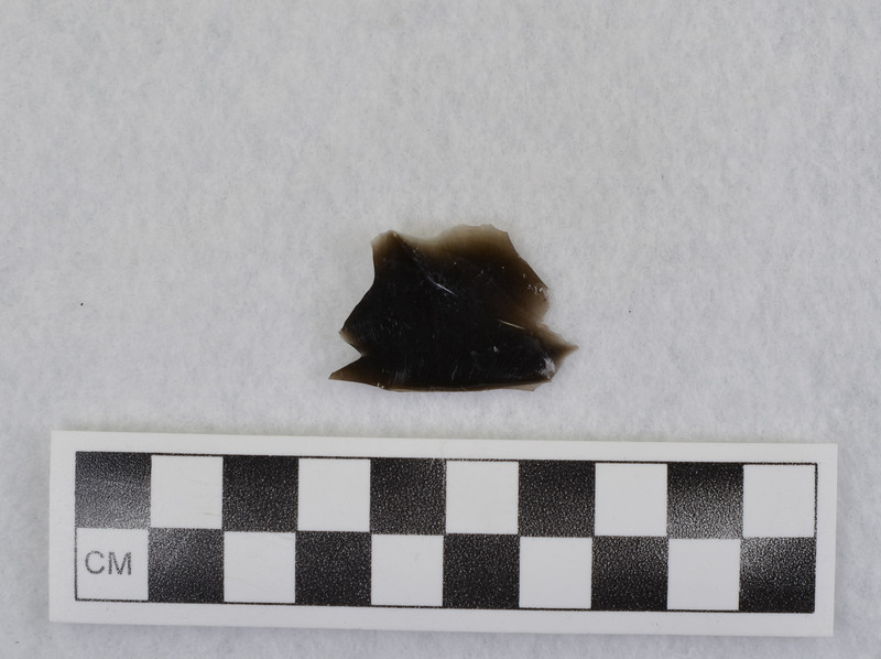 This is an uncommonly large erraillure flake produced by Donald E. Crabtree. For further information see Crabtree, 1972, pg. 31.