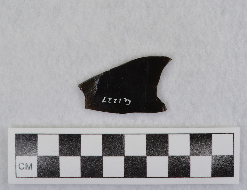 This is an uncommonly large erraillure flake produced by Donald E. Crabtree. For further information see Crabtree, 1972, pg. 31.