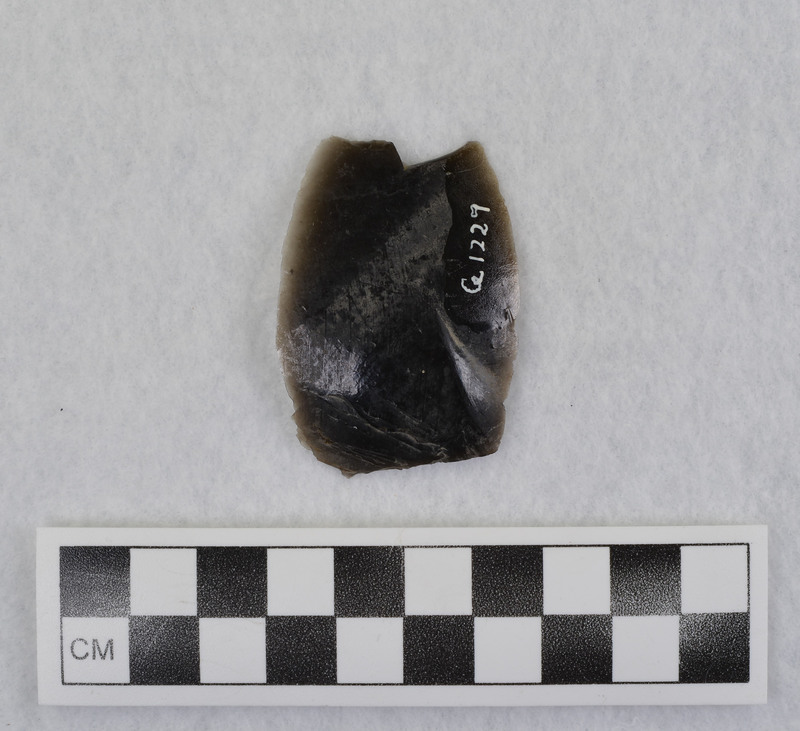 This is an uncommonly large erraillure flake produced by Donald E. Crabtree. For further information see Crabtree, 1972, pg. 31.