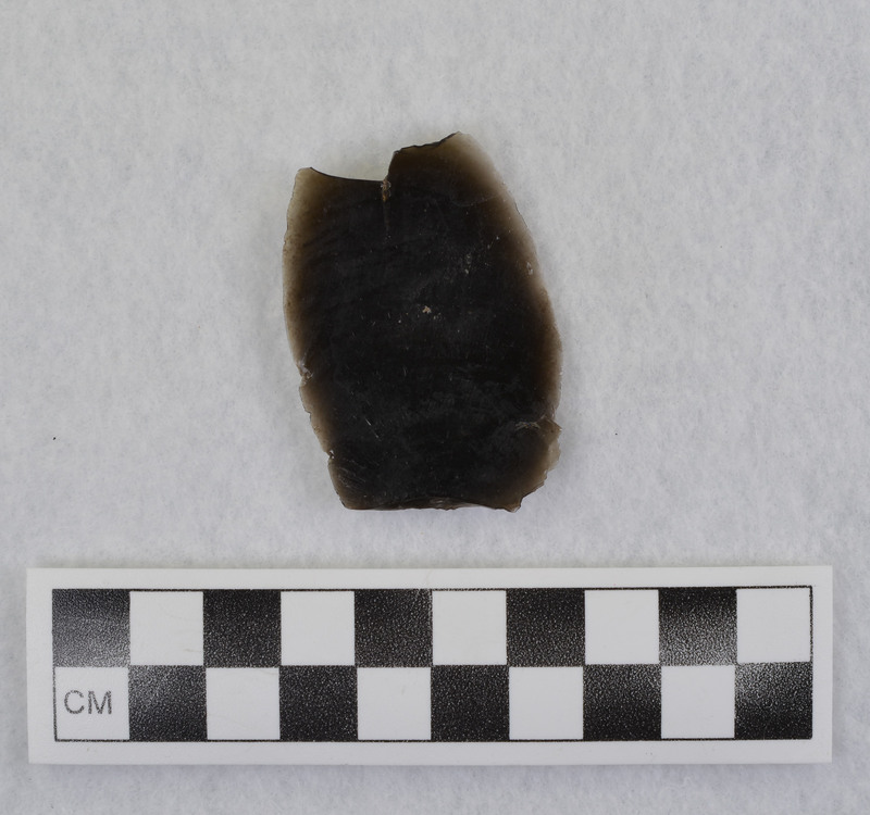 This is an uncommonly large erraillure flake produced by Donald E. Crabtree. For further information see Crabtree, 1972, pg. 31.