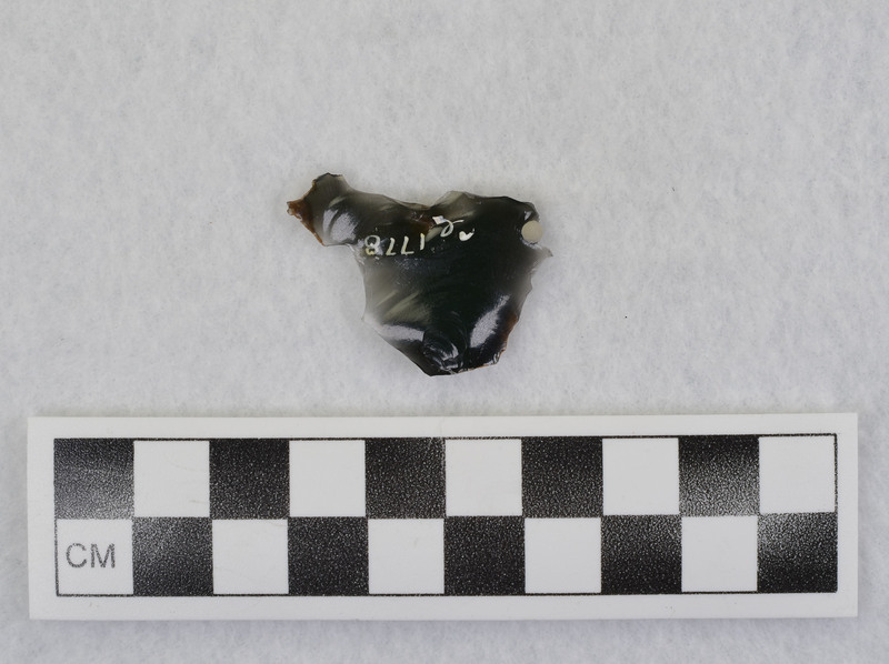 With phenocryst attached