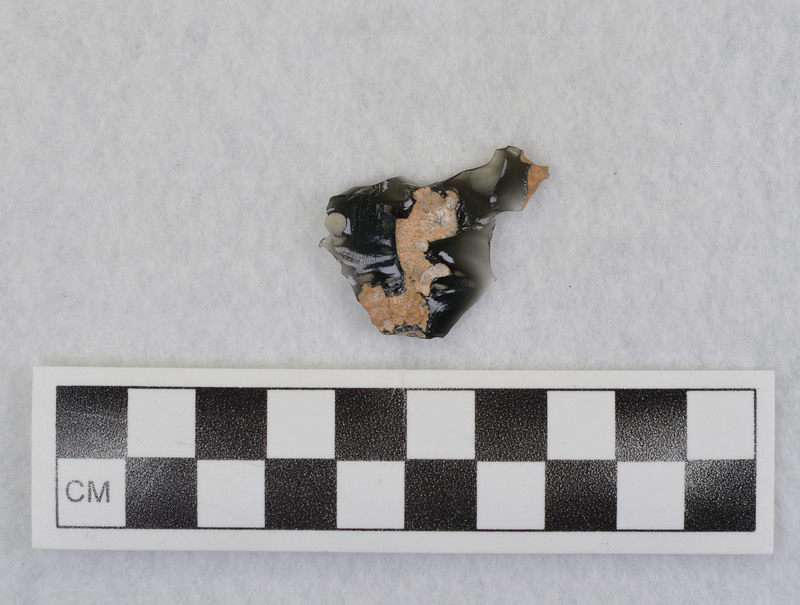 With phenocryst attached