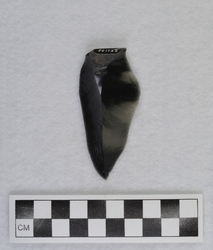 Mousterian, Mixed in with blades of another core. (DHC)