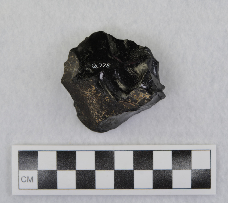 According to Gene Titmus, this piece is an example of establishing positive cones and then removing material to expose them. This technique can also be used to make a hole in the center of a flake. "Example of establishing cones and then removing a flake to expose them. Also this technique was used to obtain a flake with a hole in it. (GT) See associated memo."