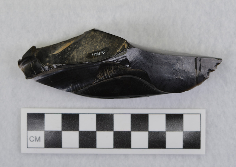 Termination of hinge fracture