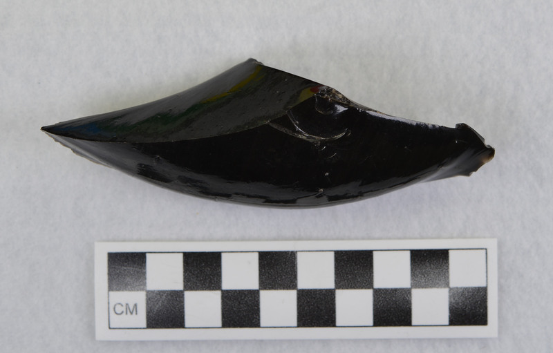 Termination of hinge fracture