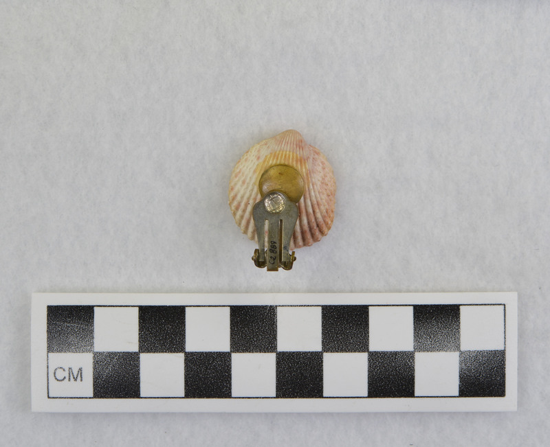 Modern, shell w/seahorse, clip attached