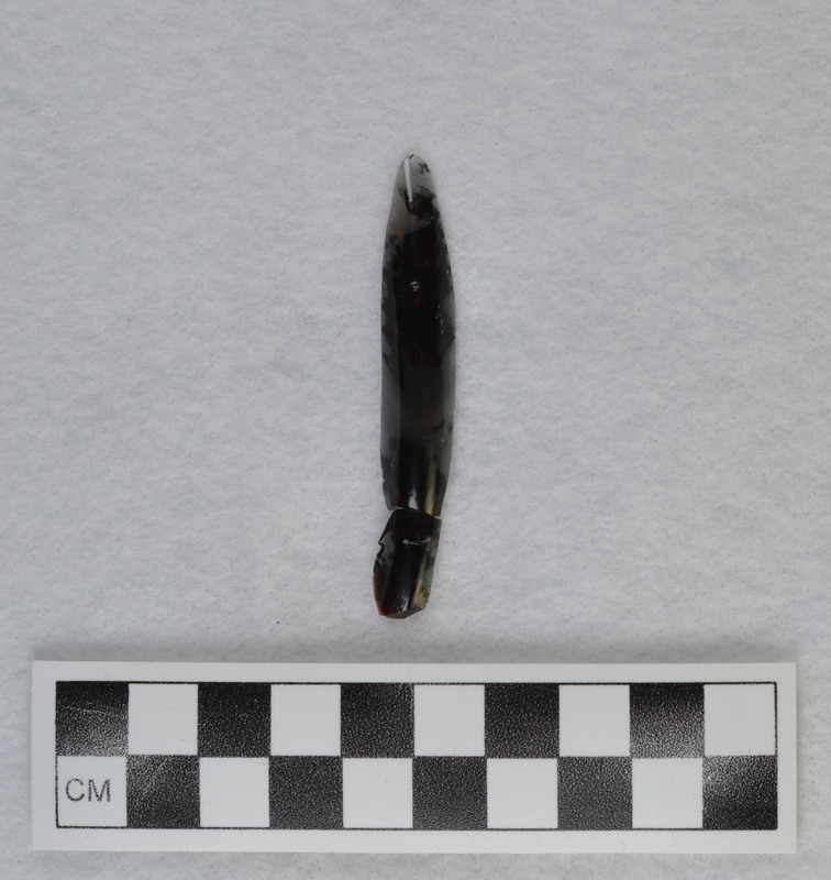 Removed from rounded portion of hinge fracture