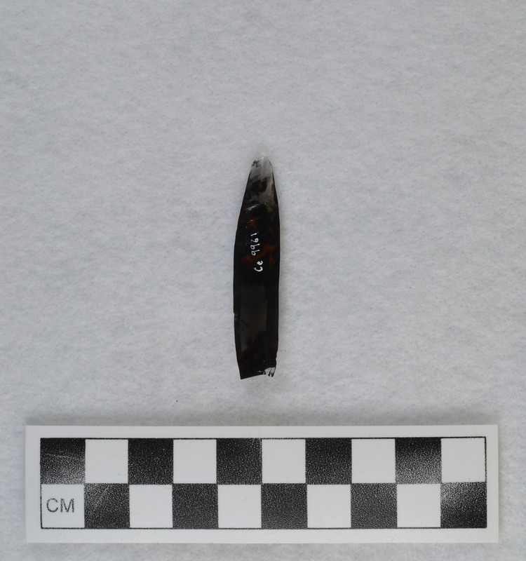 Removed from rounded portion of hinge fracture