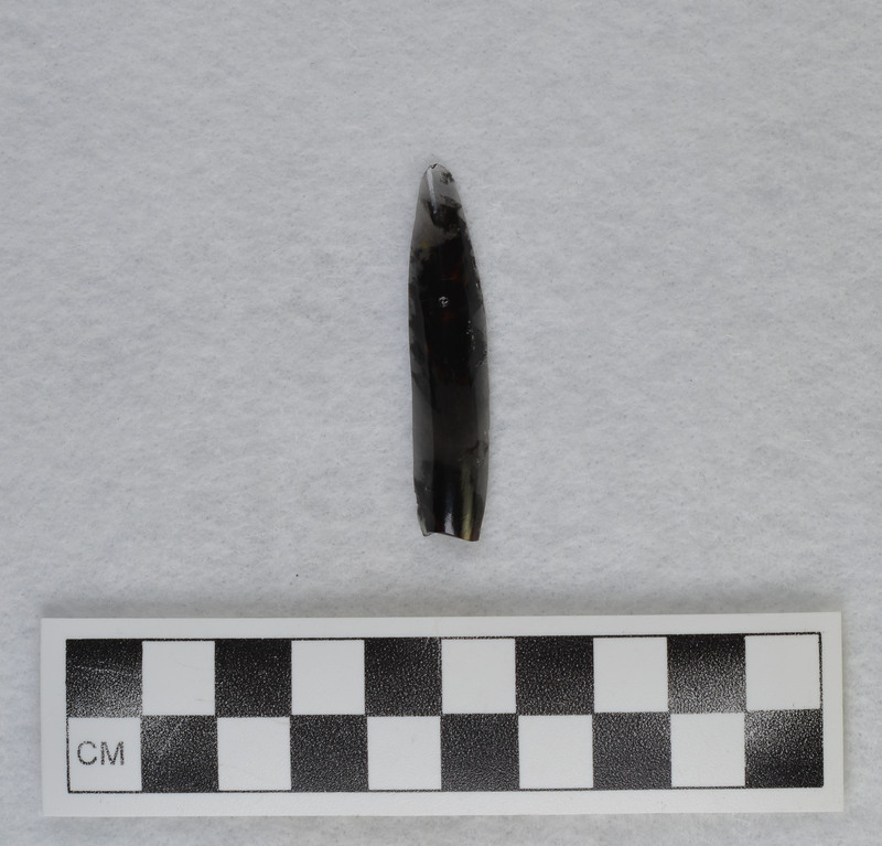 Removed from rounded portion of hinge fracture