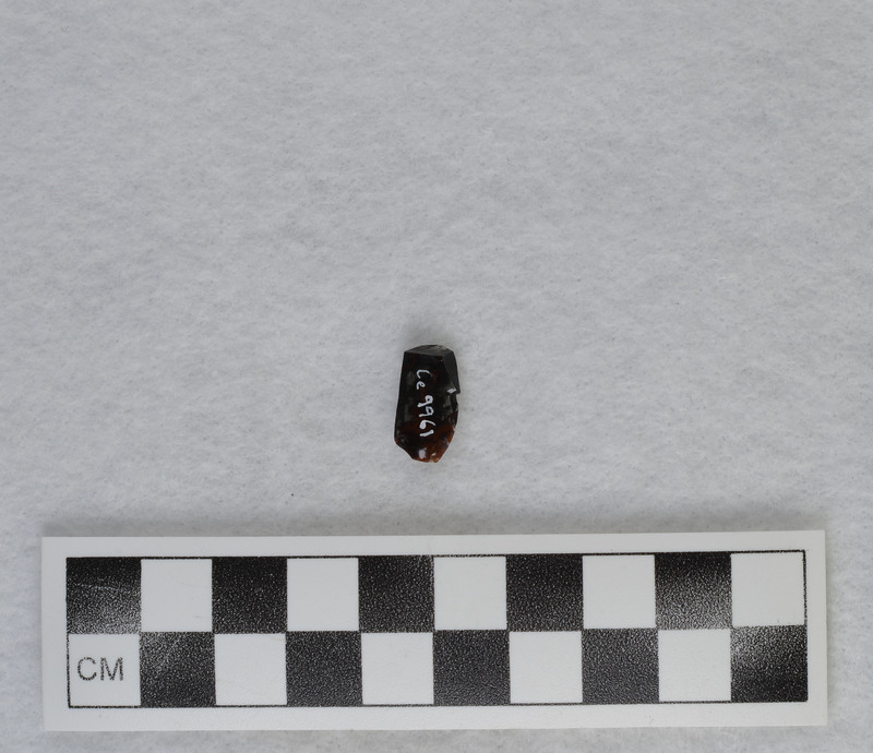 Removed from rounded portion of hinge fracture