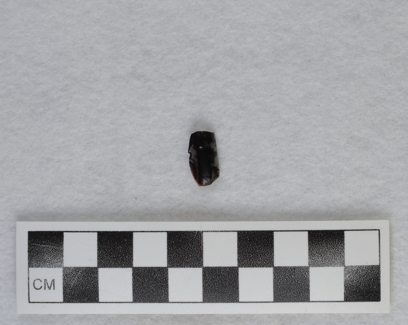 Removed from rounded portion of hinge fracture