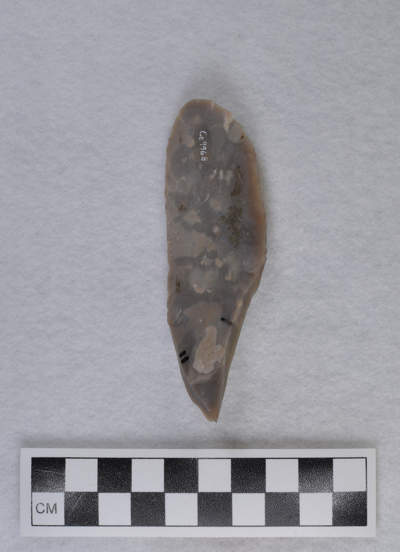 Dihedral, w/scraper on one end