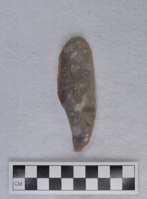 Dihedral, w/scraper on one end