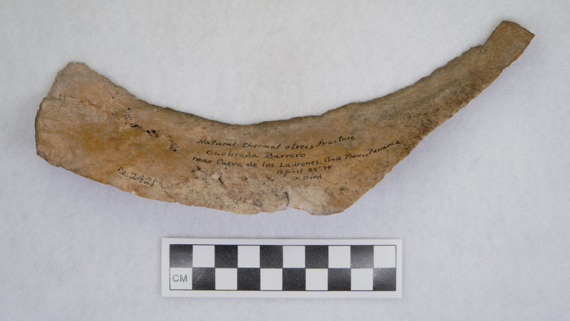 Natural thermal stress fracture, "Marked on stone: Quebrada Barrero, near Cueva de los Ladrones, Coole Prov., Panama. April 25, 1974. J. Bird. Pictures included (3) put in photo album."