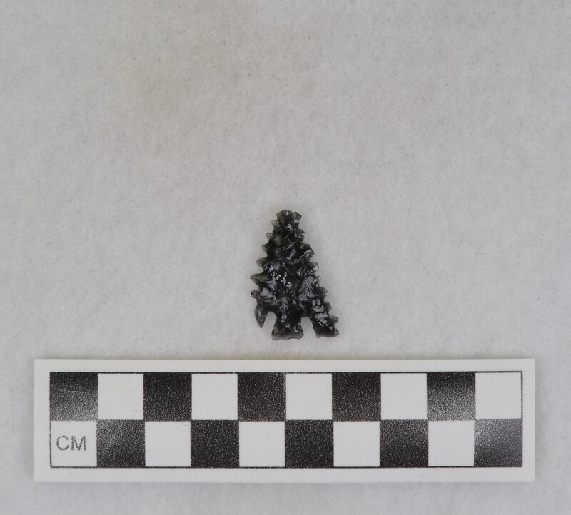 Basal notched, serrated, 1 tang missing, beautiful serrations, corner notched. Tang broken off during notching process. (GT)