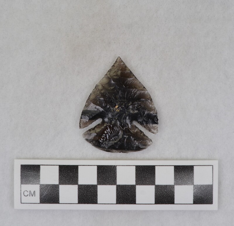 Large, corner notched