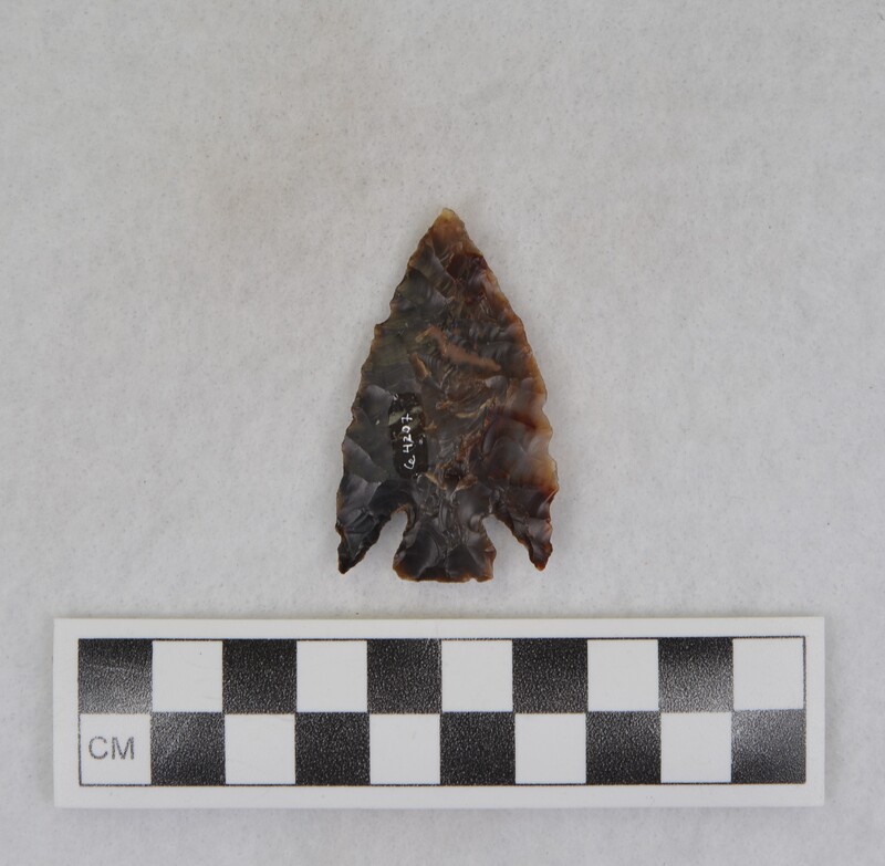 Large, corner notched