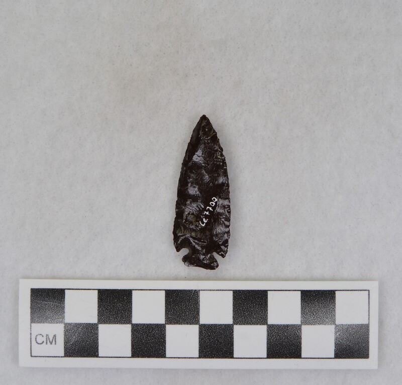 Corner notched, Ce.7700 - Ce.7725: remnants of adhesive from being glued to display board. (JW)