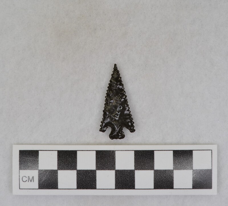 Serrated, corner notched