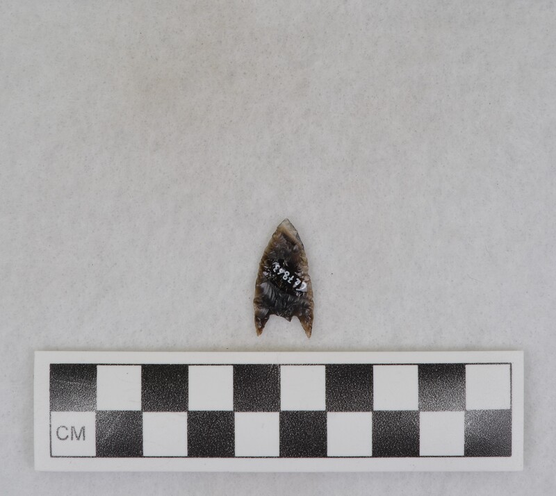 Stem broken and missing, corner notched