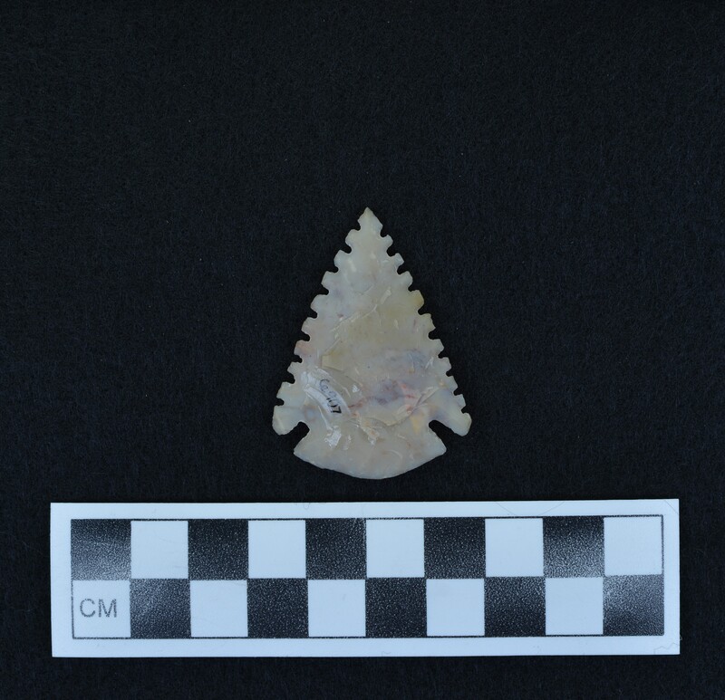 Serrated, corner notched