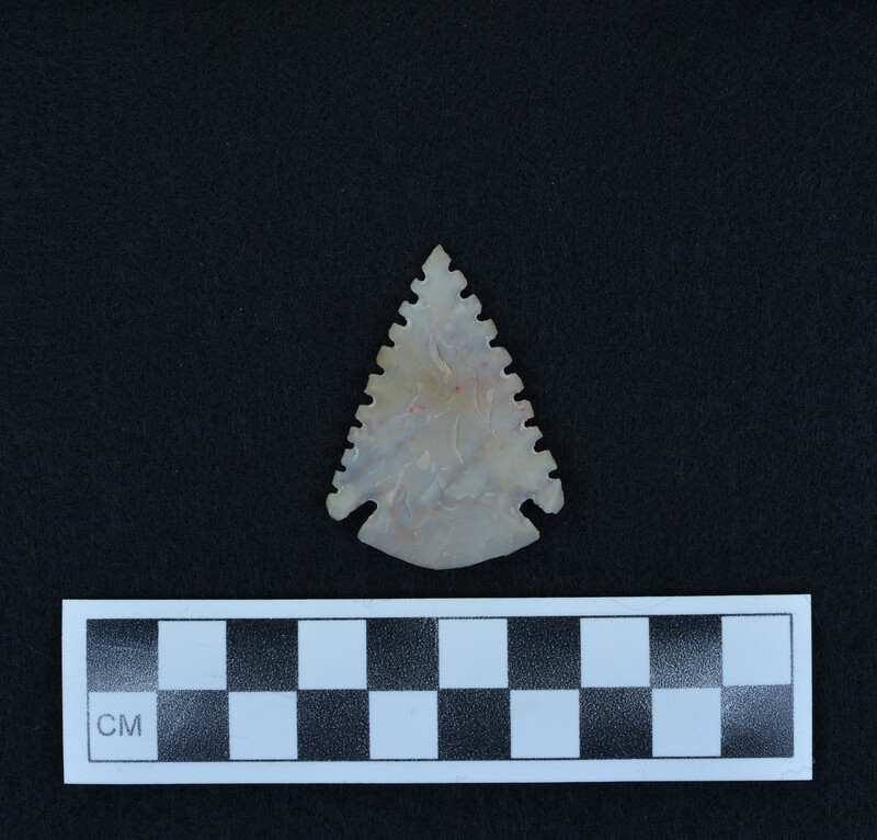 Serrated, corner notched