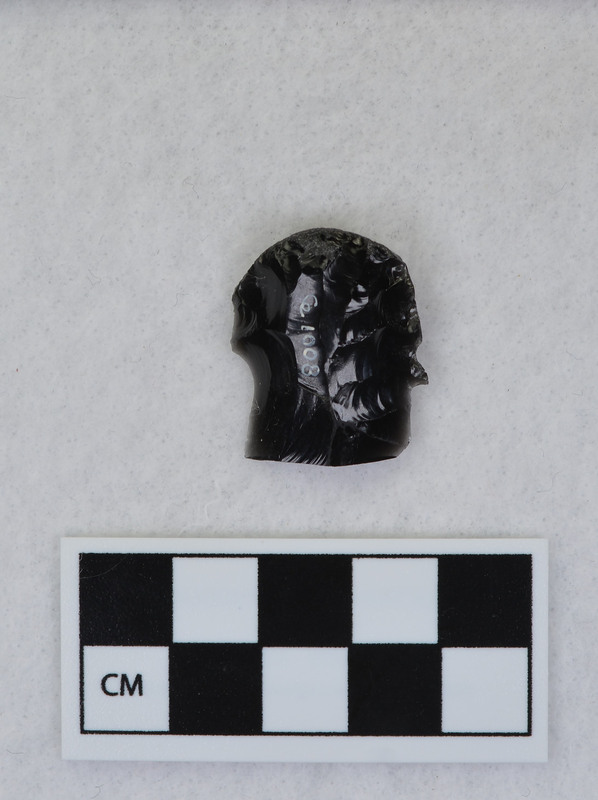 Fluted, distal end, ground for supporting on anvil