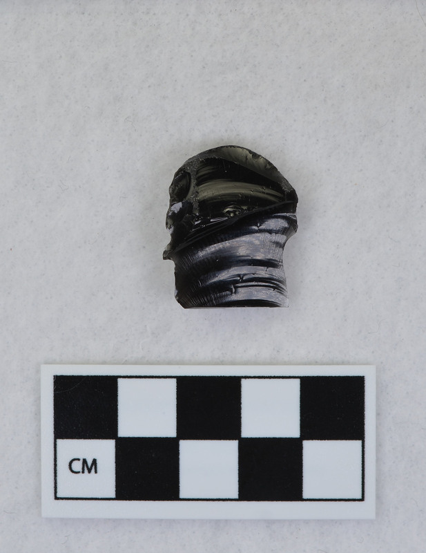 Fluted, distal end, ground for supporting on anvil