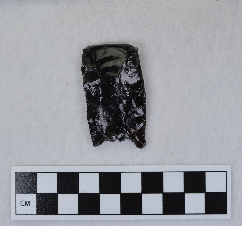 Fluted, proximal end sheared by channel flakes