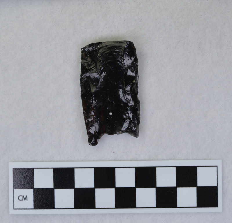 Fluted, proximal end sheared by channel flakes