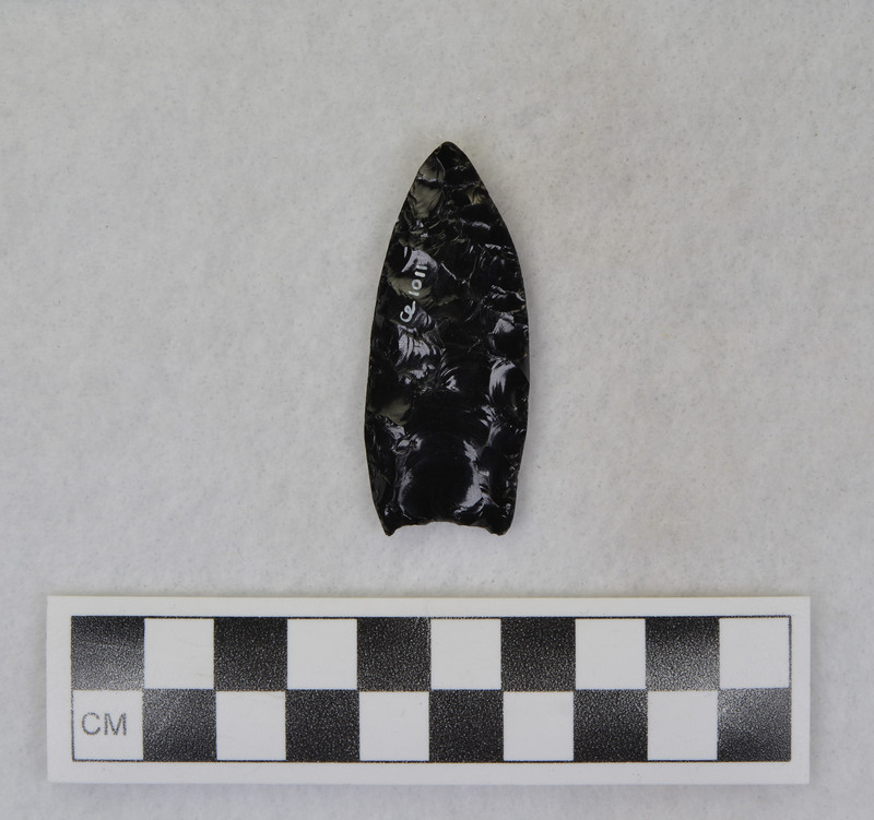 Fluted, edges ground length of point