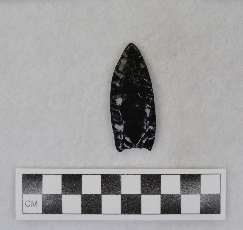 Fluted, edges ground length of point