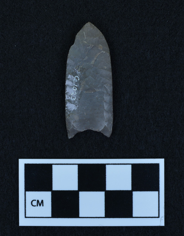 Fluted, ground full length of margins