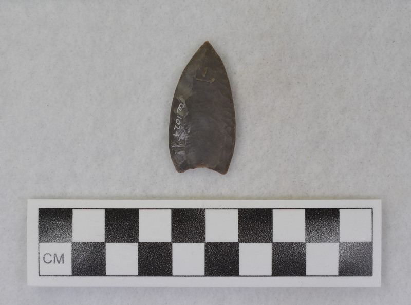 Fluted, ground full length of margins