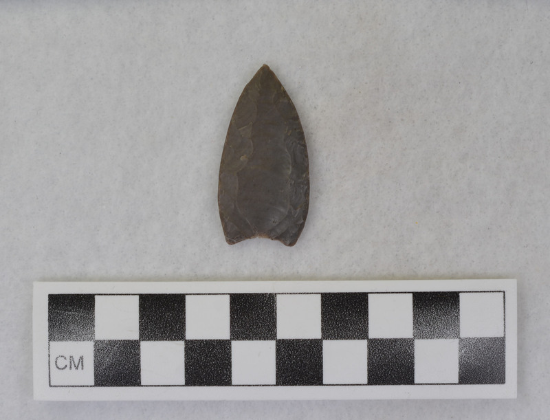 Fluted, ground full length of margins