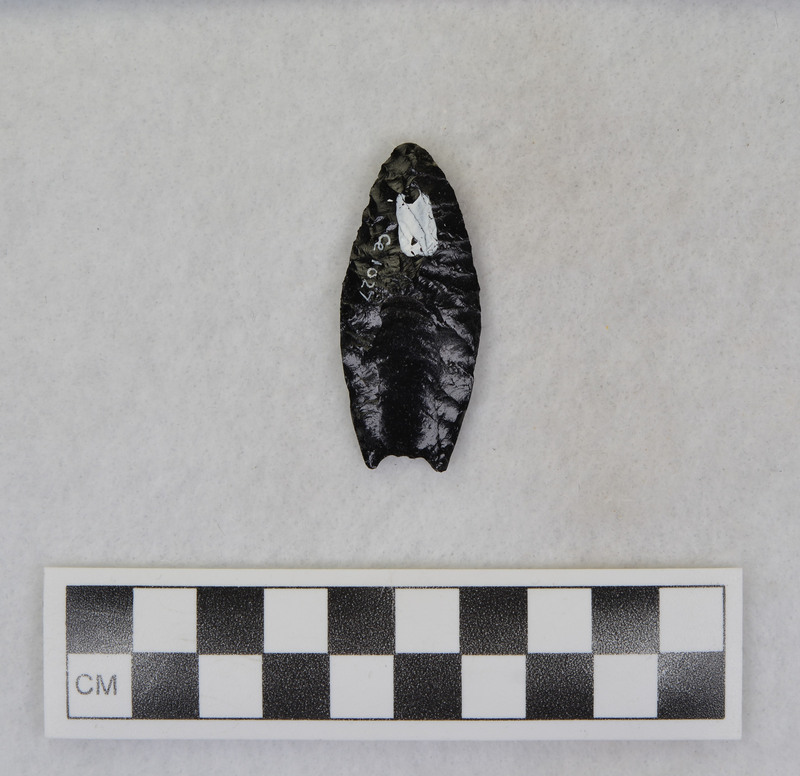 Fluted, pressure fluted, basal edges ground