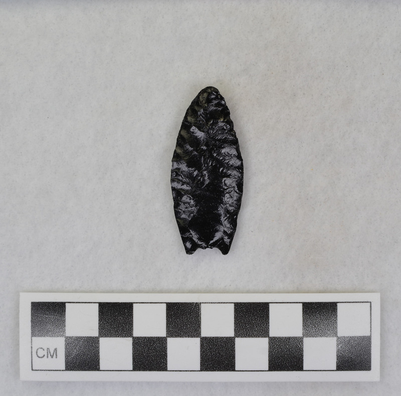 Fluted, pressure fluted, basal edges ground