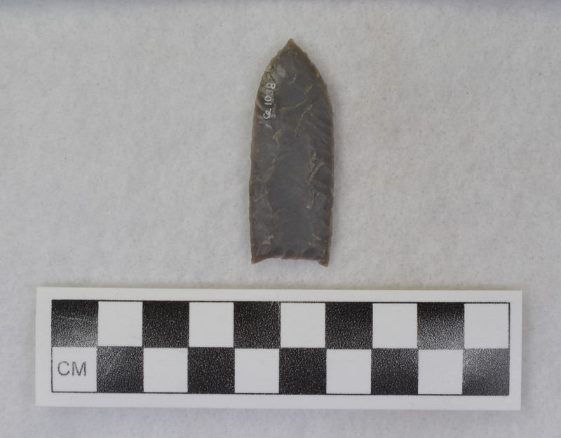 No ground basal margins