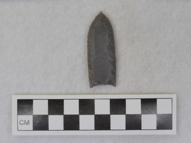 No ground basal margins