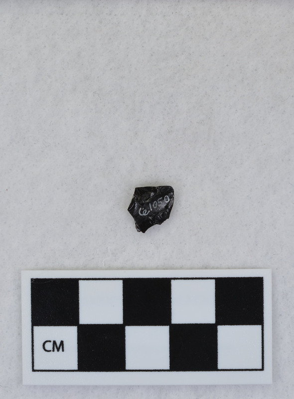 Channel, basal fragment, from Ce.1046