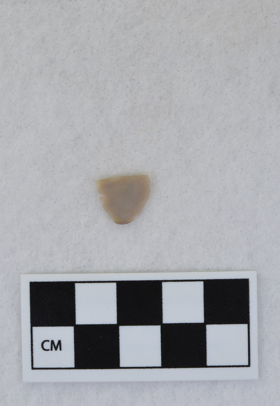 Channel fragment from Ce.1055