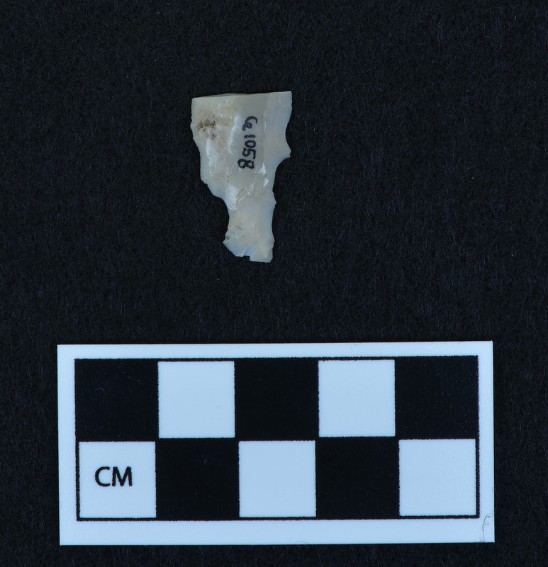 Channel fragment from Ce.1055
