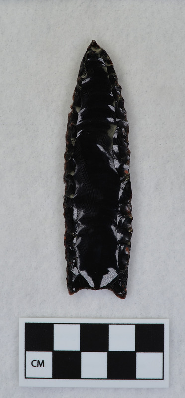 Fluted, similar to Cumberland point, Manufacture technique - held in vise and fluted by chest crutch. (GT)Associated with Ce.1070 - Ce.1073.Four flake pieces included do not seem to fit the blade. (EL)